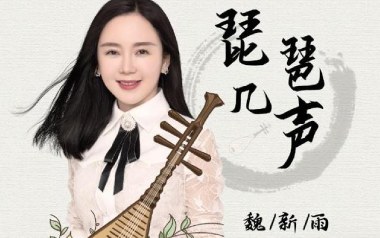 琵琶几声吉他谱
